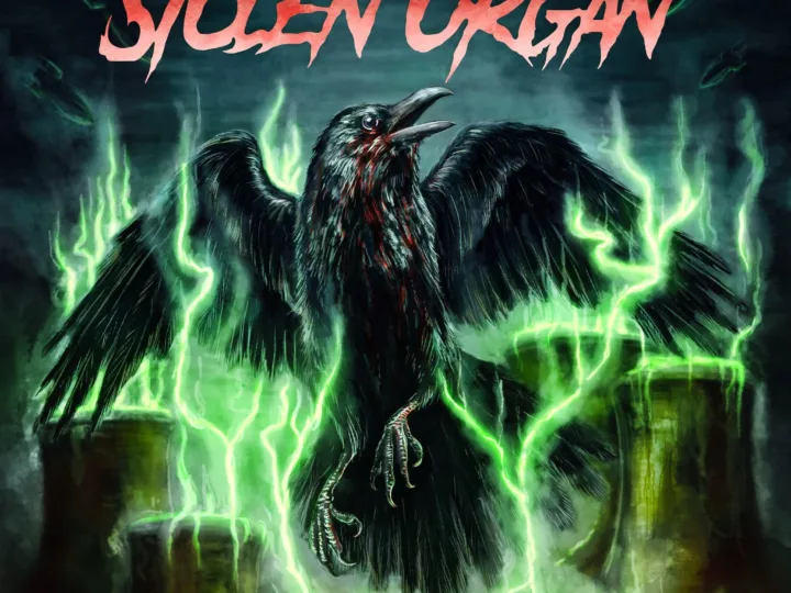 Stolen Organ – Made in China 2026